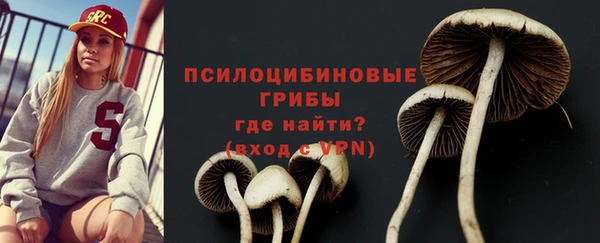 прущий лед Армянск