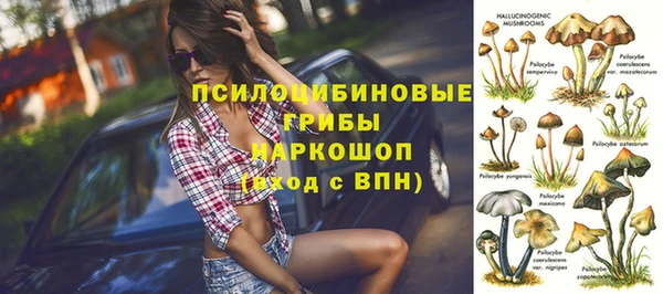 сатива Алексеевка