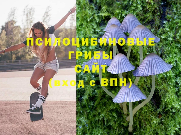 сатива Алексеевка