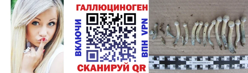 где продают   Павловская  гидра как зайти  Псилоцибиновые грибы прущие грибы 